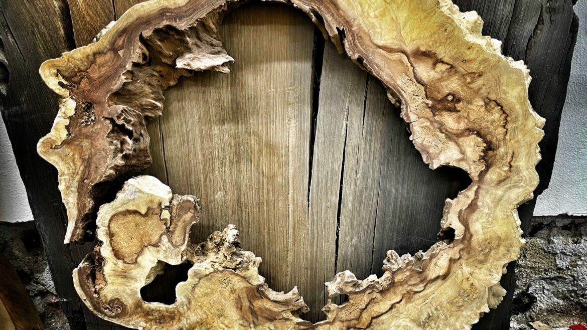 Z kroniky drevín: Jedna z najluxusnejších a najkvalitnejších drevín na svete | Amboyna